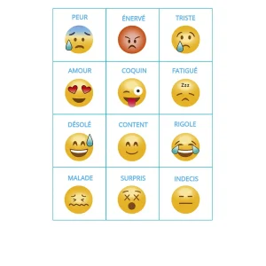 12 pictogrammes plastifiés grand format style emoji