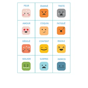 12 pictogrammes plastifiés grand format style petit bloc