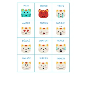12 pictogrammes plastifiés grand format style petit chat