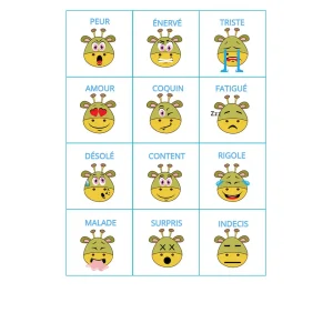 12 pictogrammes plastifiés grand format style petit dragon