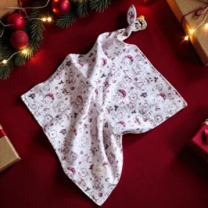 9C44BC7E-342C-4EFE-9544-2DF68D0FC609.pngv1761138375 Lange Doudou Noël