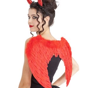 S4436-1.jpg Ailes de diable avec serre tête